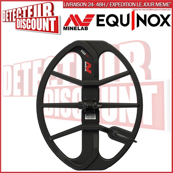 Disque 38cm DD pour Equinox